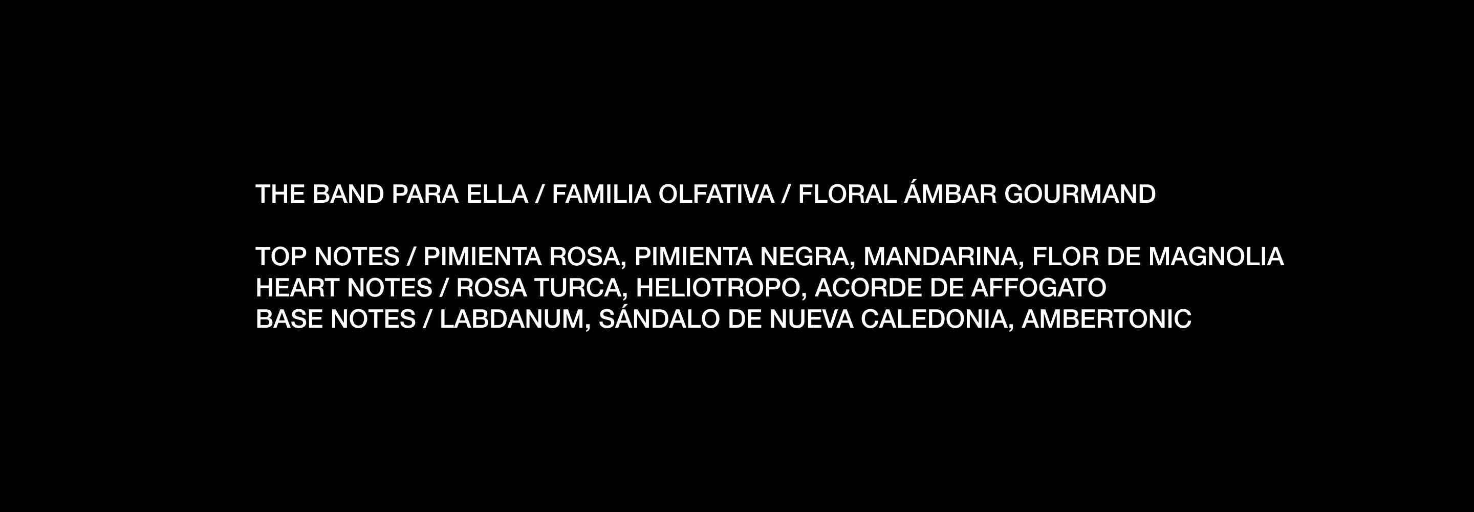 090925_des_theband_06_07bab5a3 cf39 4ae5 8daf 12ee157d46bd