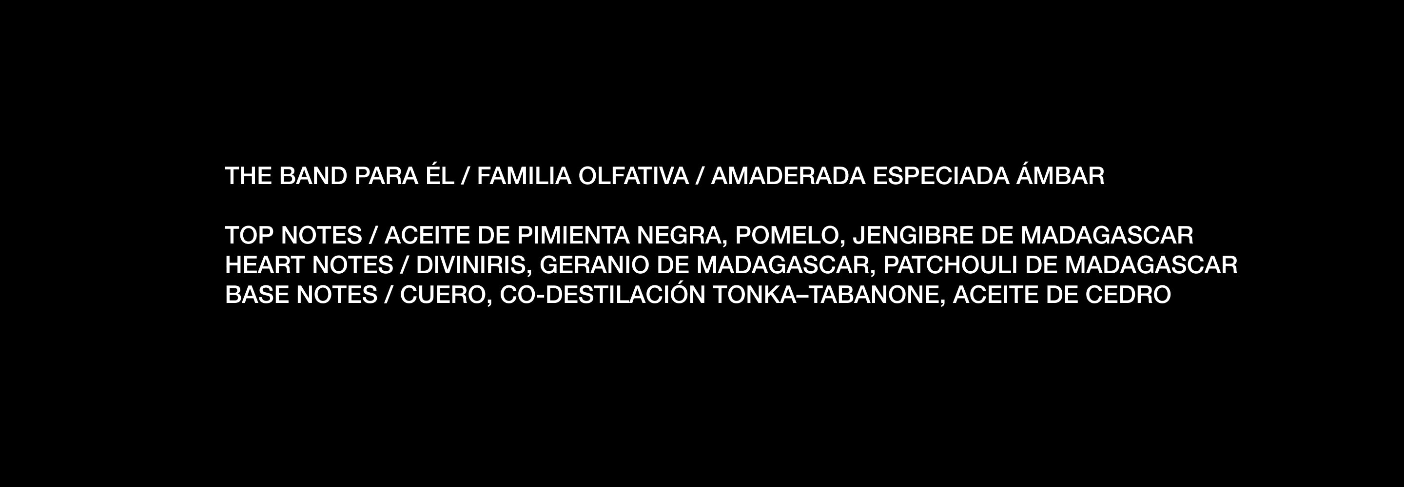 090925_des_theband_09_d443c908 3d08 44d3 8834 40580410a178