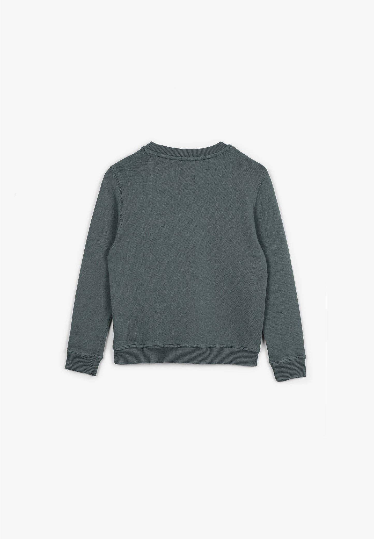 SUDADERA CALAVERA ILUSTRACIÓN
