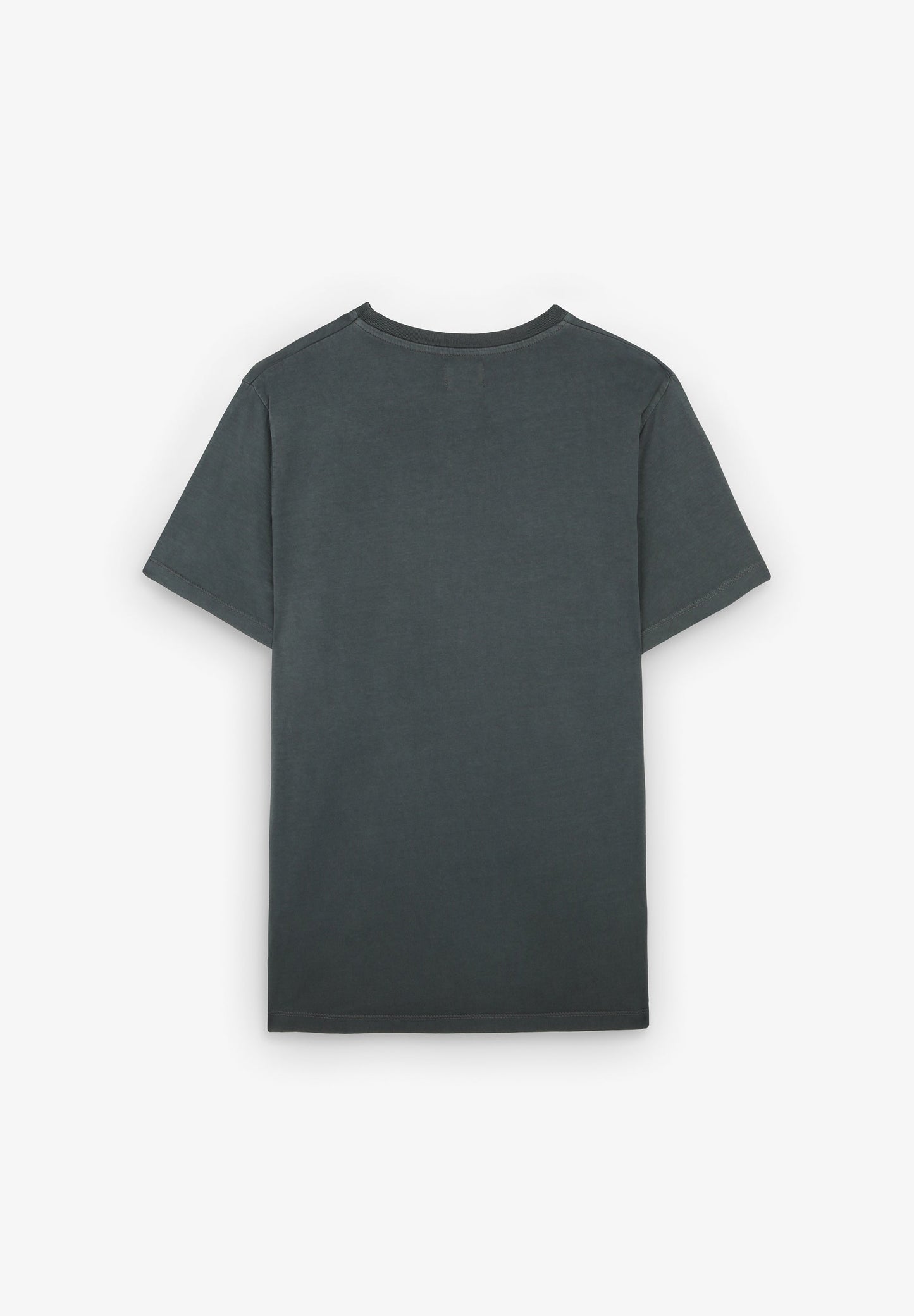 CAMISETA BÁSICA CALAVERA