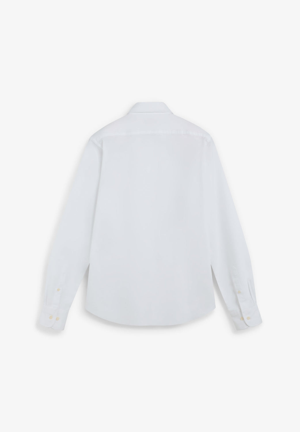 CAMISA OXFORD CALAVERA - Scalpers