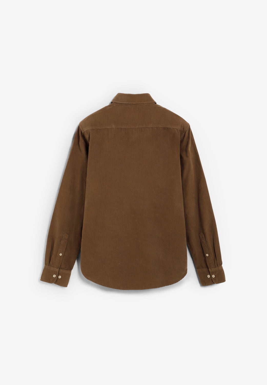 CAMISA PANA REGULAR FIT - Scalpers