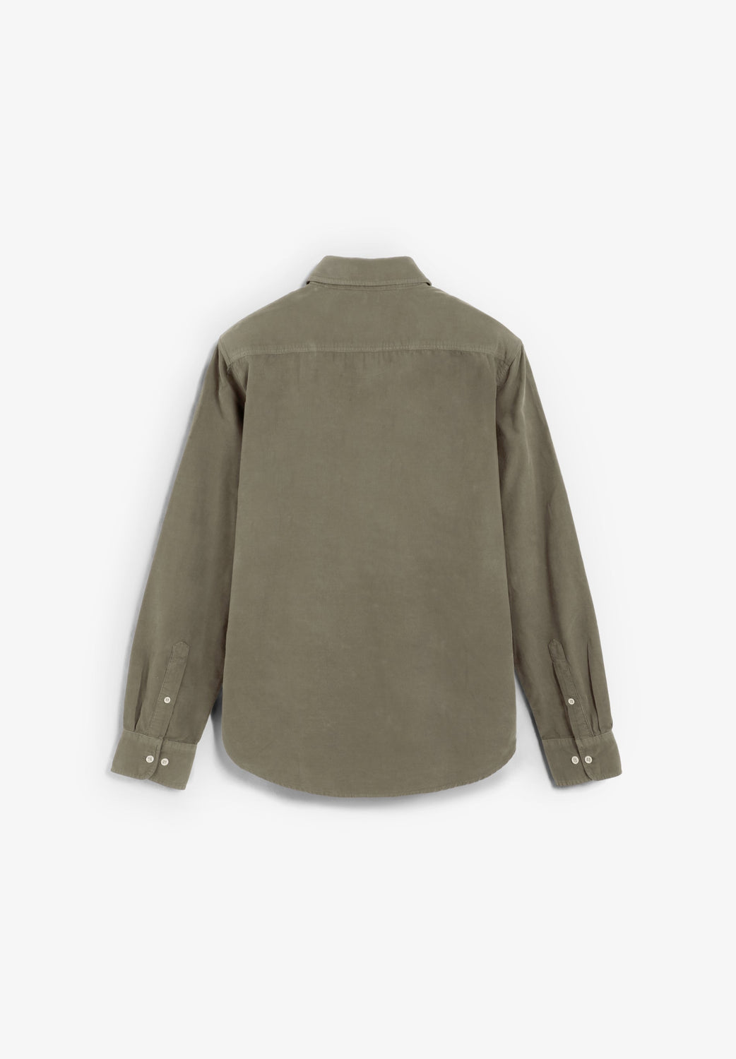 CAMISA PANA REGULAR FIT - Scalpers