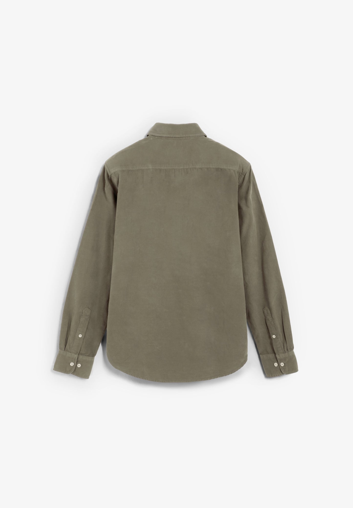 CAMISA PANA REGULAR FIT - Scalpers