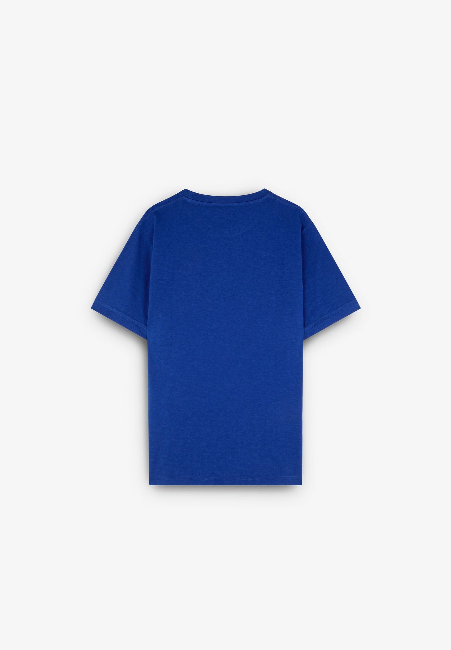 CAMISETA BORDADA EFECTO LAVADO