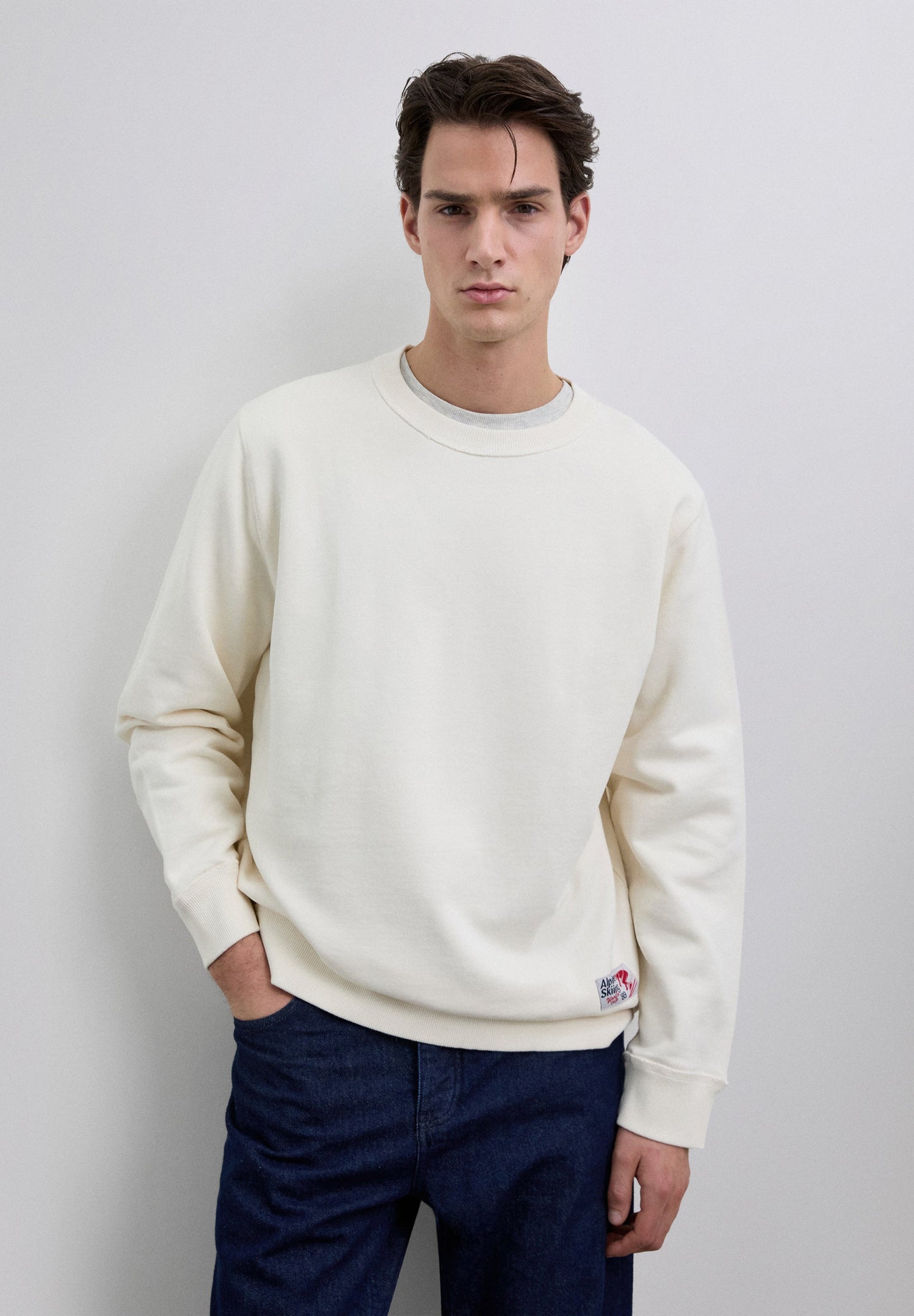 SUDADERA ALPINE ESTAMPADA - Scalpers