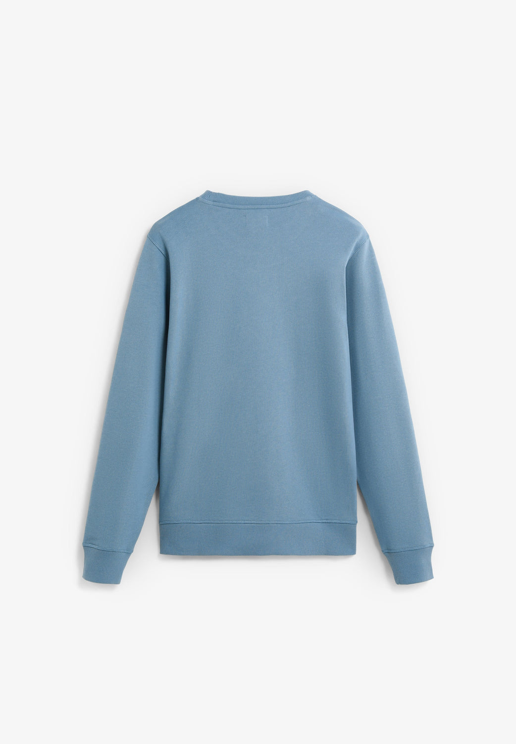 SUDADERA BORDADA ALGODÓN - Scalpers