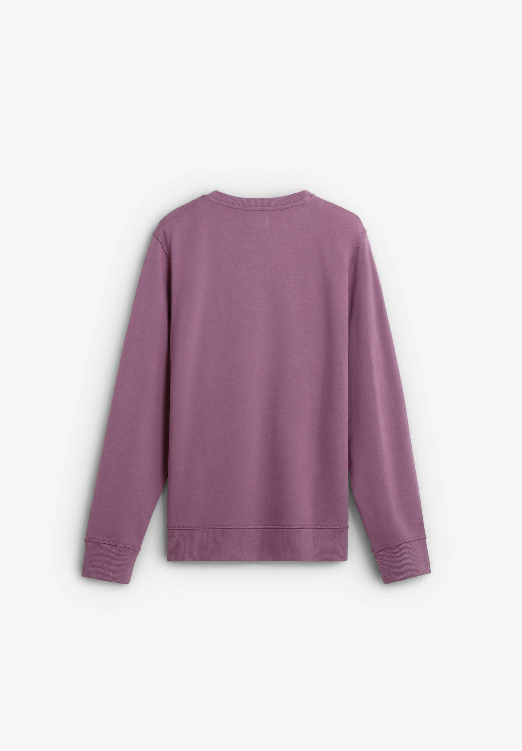 SUDADERA BORDADA ALGODÓN - Scalpers