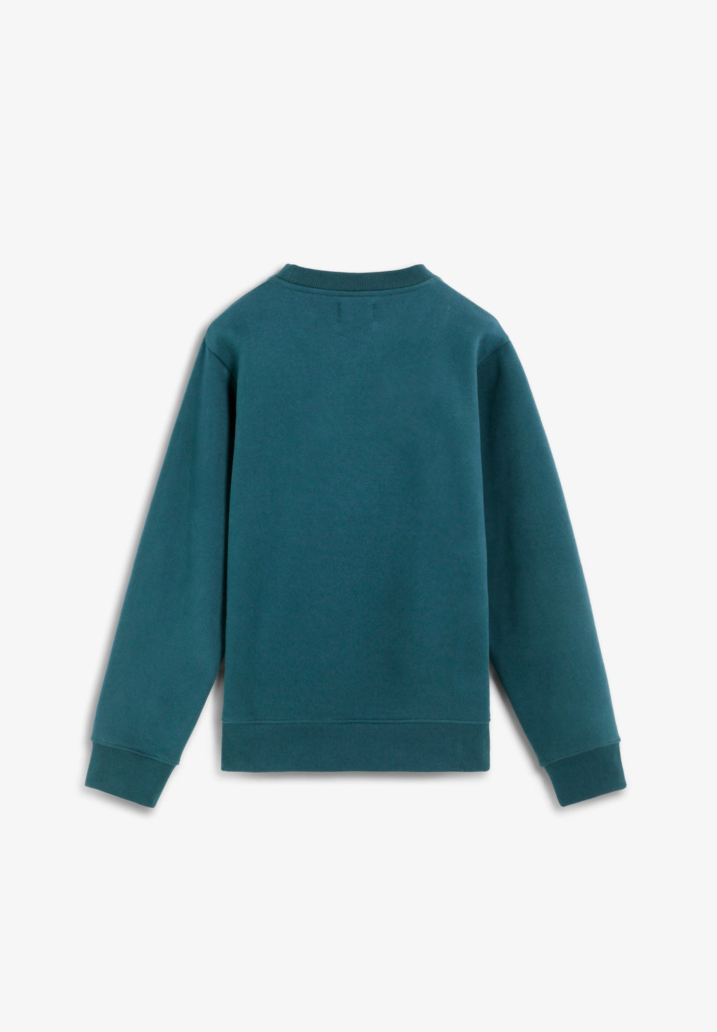 SUDADERA ALGODÓN BORDADA - Scalpers
