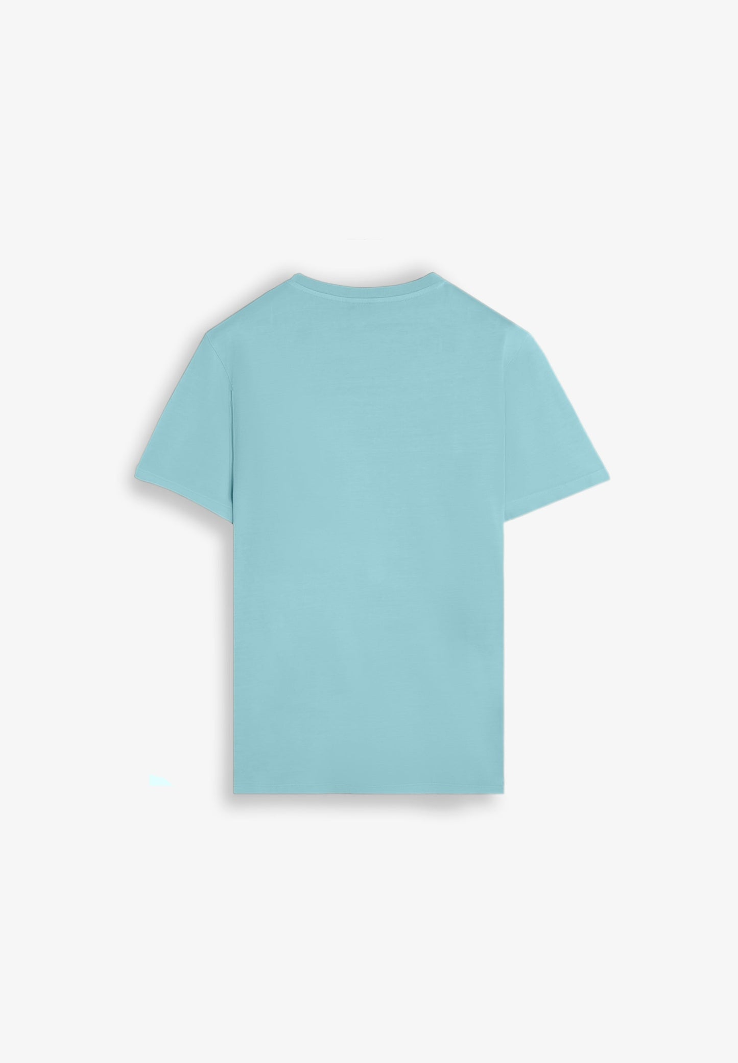 CAMISETA BORDADA EFECTO WASHED