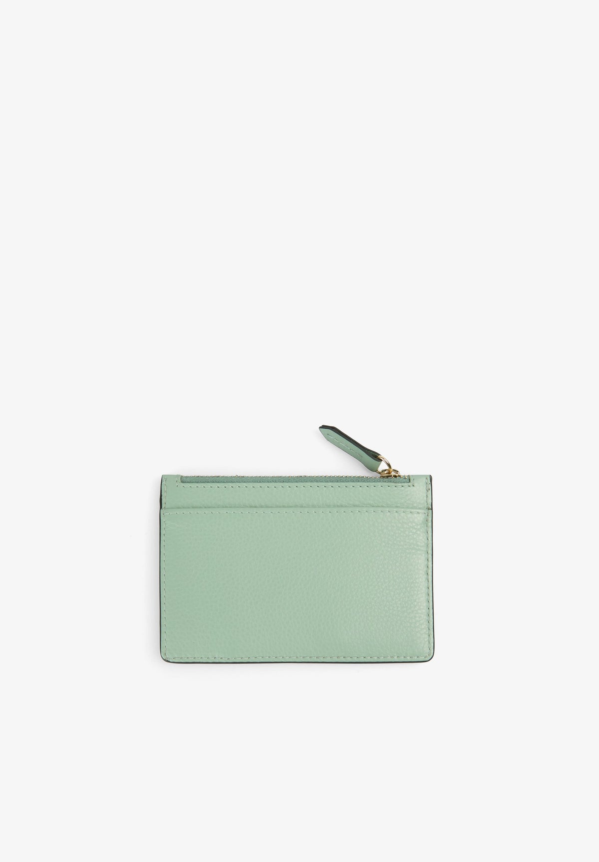 CARTERA PIEL