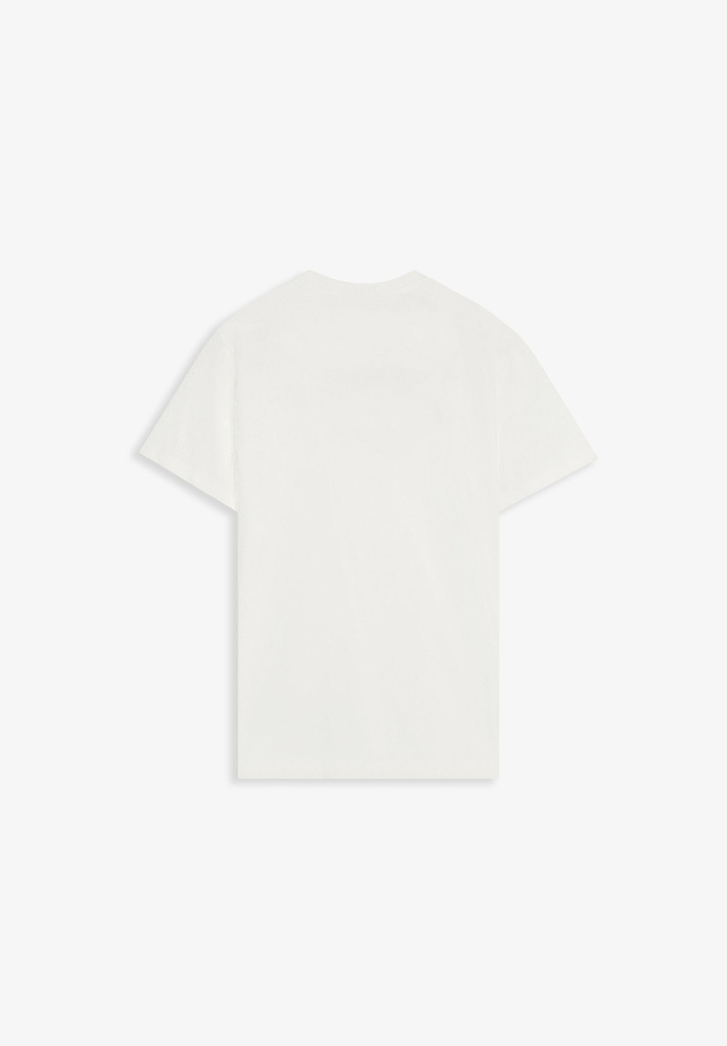 CAMISETA PRINT DELANTERO