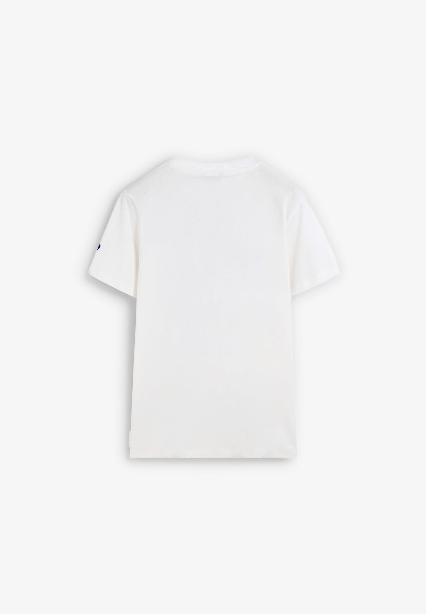 POLERA EFECTO LAVADO ESTAMPADA