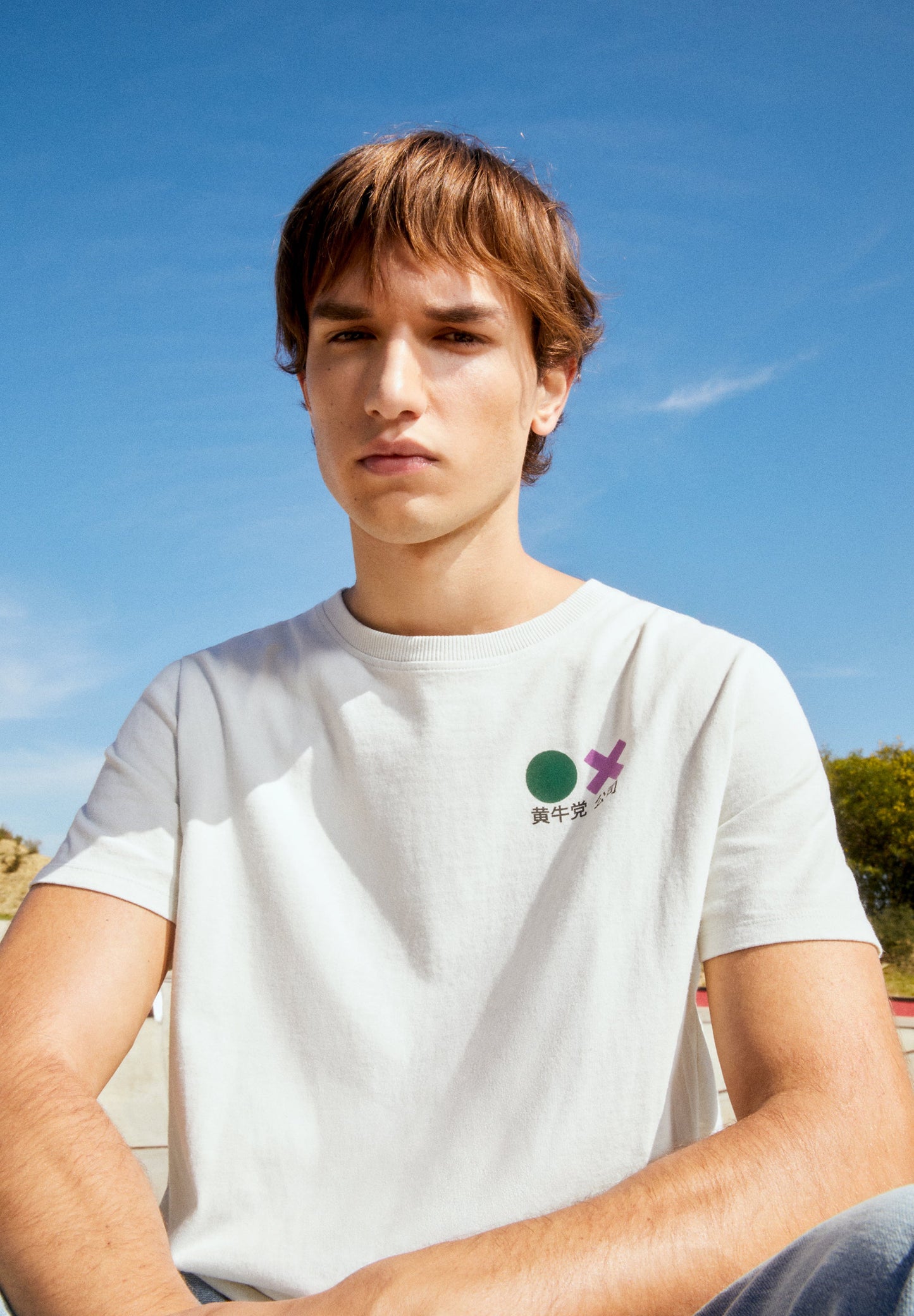 CAMISETA DETALLES FLOCADOS