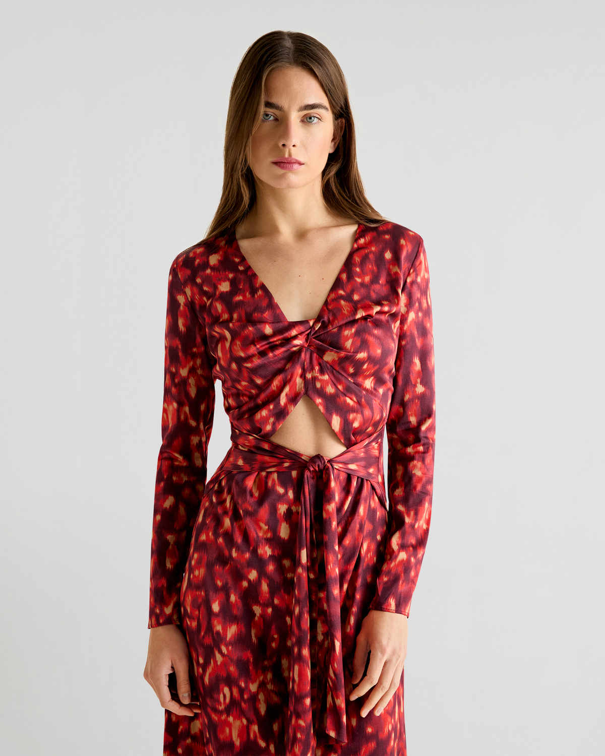 ROUGE PRINT DRESS
