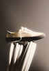 ZAPATILLA CANVAS LOW CUT