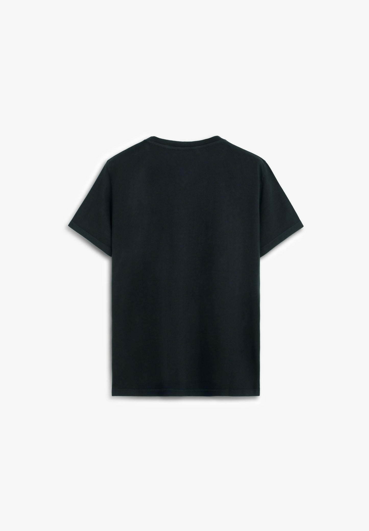 CAMISETA BORDADA EFECTO WASHED