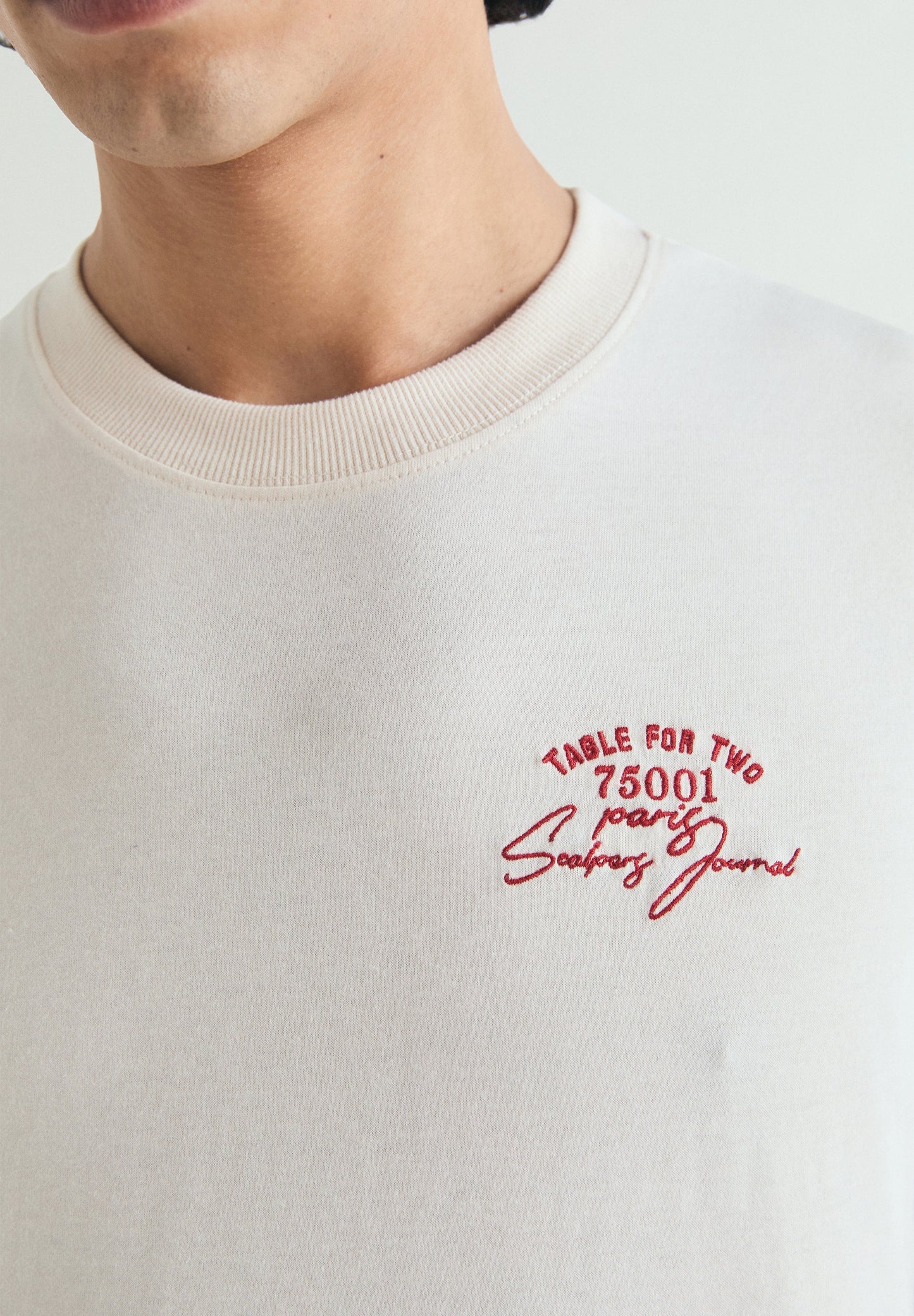 CAMISETA PRINT PARIS