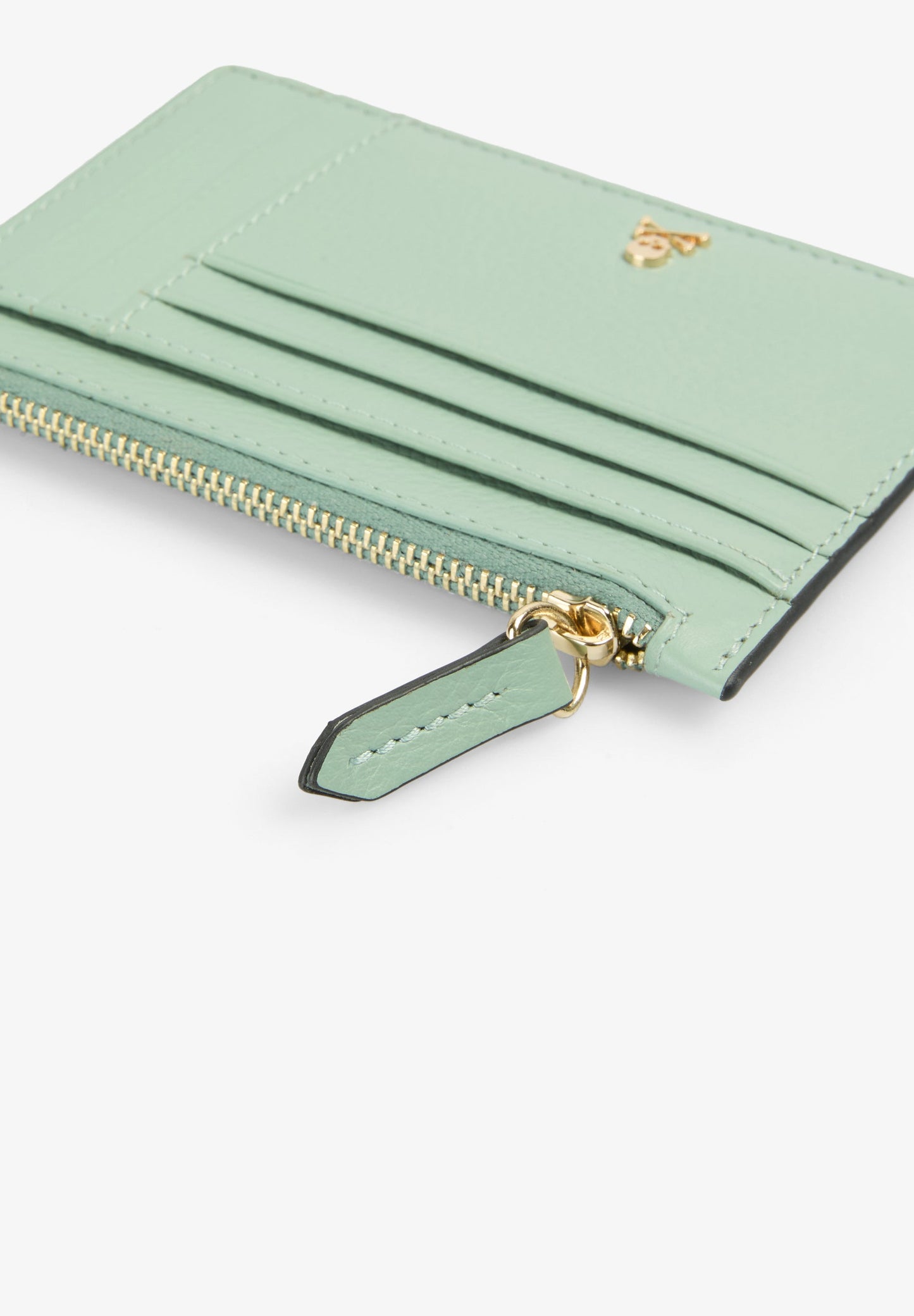CARTERA PIEL